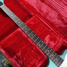 Gibson Non-Reverse Thunderbird
