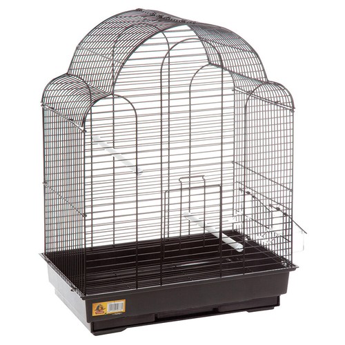 Cage perroquet flamingo - perroquet,