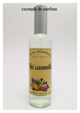 Vaporisateur 100ml extrait