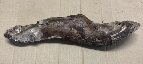 Natural root for terrarium - natural,