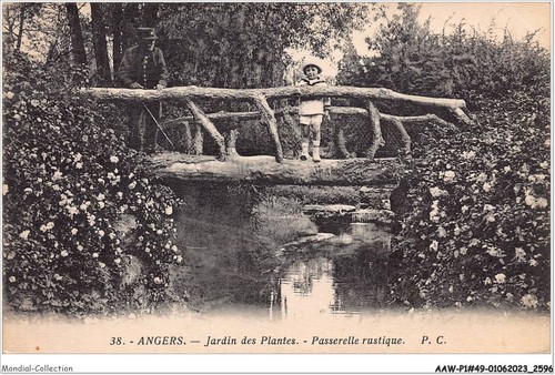 Aawp1 0085 angers - aawp1-49-0085,