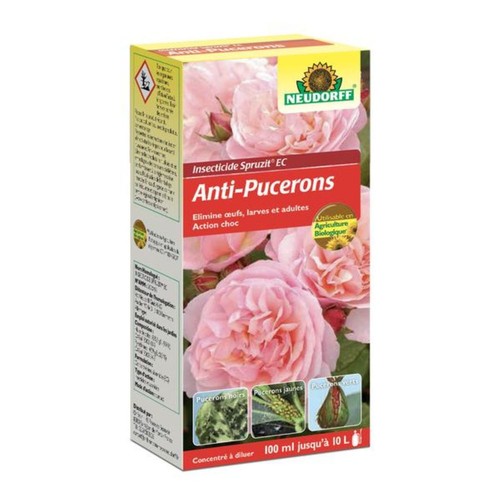 Insecticide pucerons spruzit - insecticide,