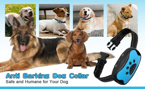 Collier anti aboiement chien - collier,