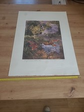 Grande Lithographie Signée