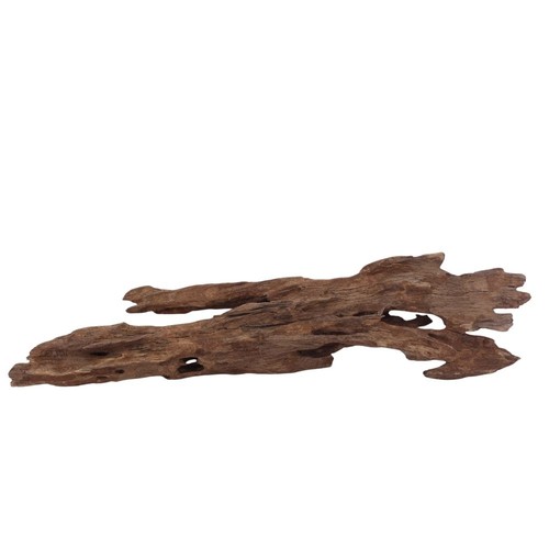 Honey peigne racine 3004 - honey,