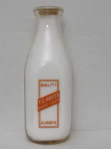 Tspq milk bottle hayes - tspq,