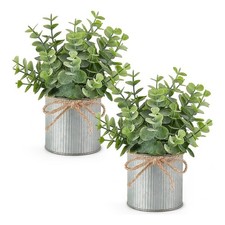 Lot de 2 Petites Plantes