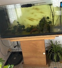 Aquarium sur meuble 250L 