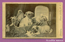 CDV LOVEJOY À NEW-YORK 