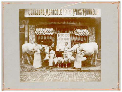 Boucherie élevage concours - boucherie,, Élevage,