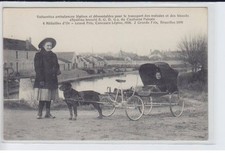 MARNE: Lightweight and Removable Dog Car for Sick Transport and Blue