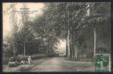Old postcard Vitré, Promenade du Val 