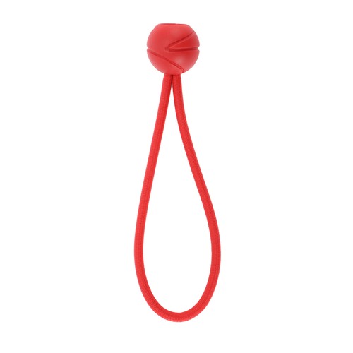 Corde élastique fixe pour - corde, À