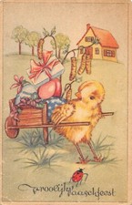Postcard fantasy / little chick