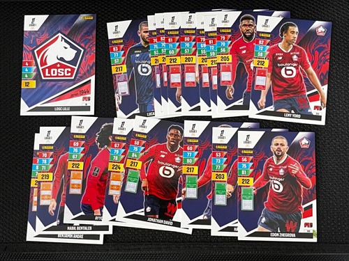 Lot cards cartes - lot,