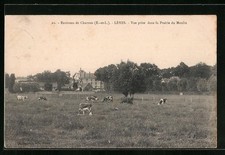 Old postcard Lèves, view taken in the Prairie du Moulin 