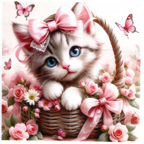 Serviettes papier chat dans - chat,