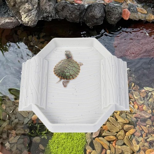 Piscine pour reptiles bol - piscine,