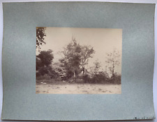 PHOTO ALBUMINE D UNE PRAIRIE