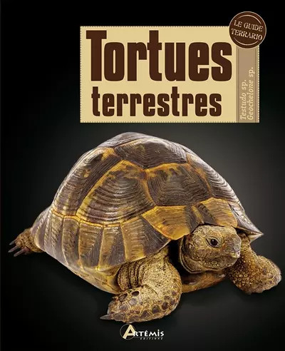 Tortues terrestres j pirog - terrestres,,