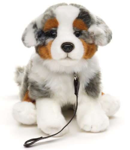 Chien berger australien - de,