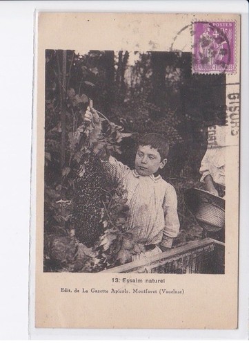 Montfavert essaim naturel la - montfavert:,
