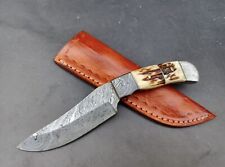 Handmade Pocket Knife Damascus Steel Blade Deer Wood Handle ?