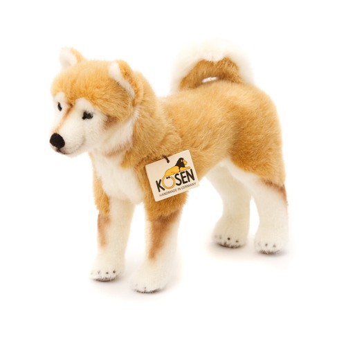 Shiba inu par - kosen, kösen