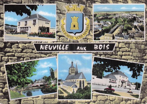 Neuville aux bois foret - 45,