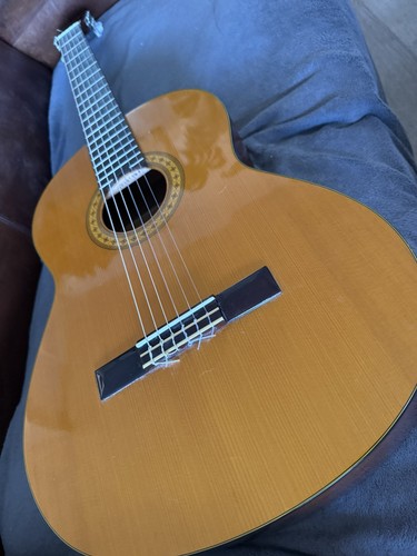 Takamine g124 - takamine,
