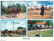 Carte Postale - Hongrie -