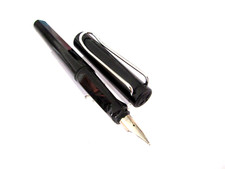 MAGNIFIQUE STYLO PLUME DE