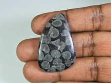 50Cts. Cabochon fantaisie corail fossile noir naturel pierre précieuse en vra...