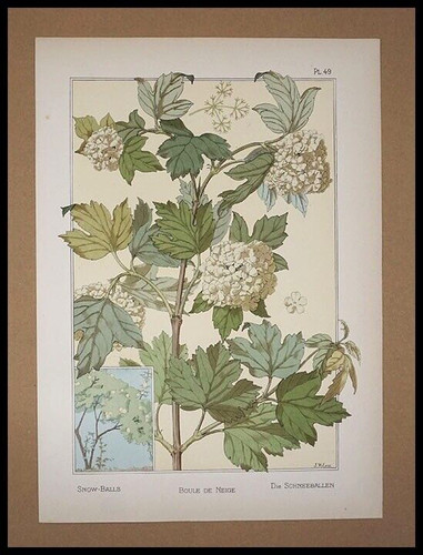 Grasset eugène boule de - ,