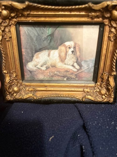 Vintage one kind - vintage, cavalier