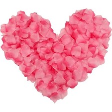 1000 Pièces Pétales de Rose