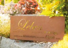 Panneau de jardin en rouille noble panneau de vie panneau mural panneau en mé...