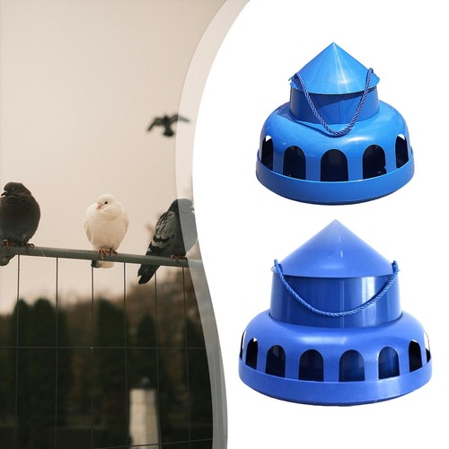 Mangeoire pigeons avec - à,