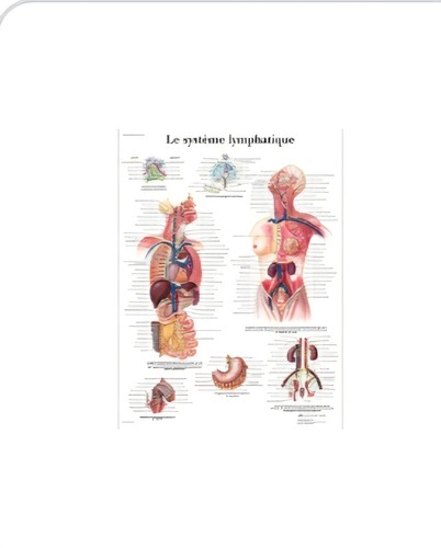 Anatomie affiche corps humain - anatomie,