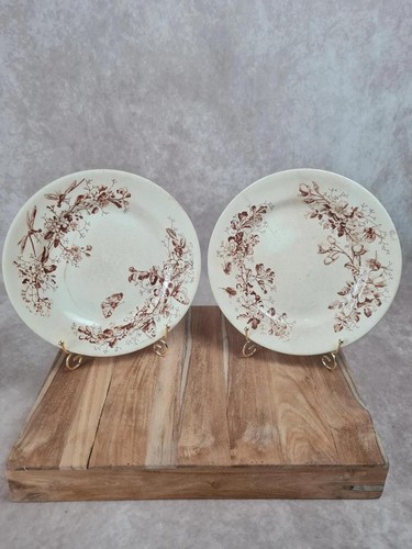Lot assiettes anciennes - lot,