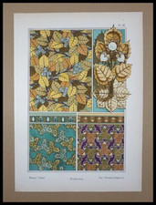 Eugène GRASSET : Noisetier