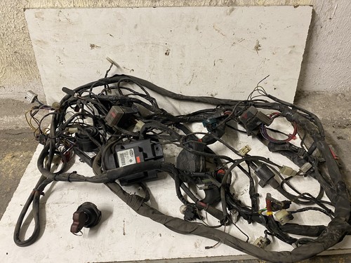 Faisceau électrique complet - faisceau,
