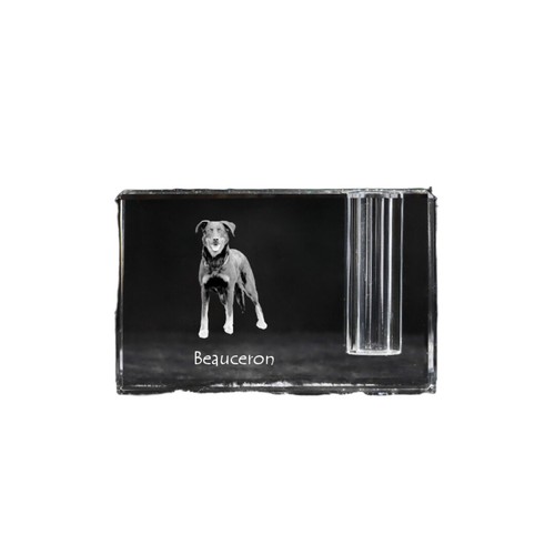 Berger beauce beauceron - de,