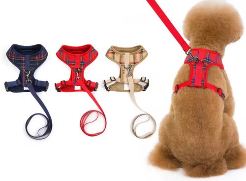 Ensemble harnais laisse - et,