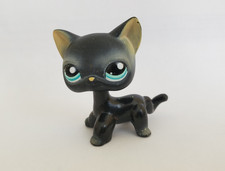 LPS 994 Chat Européen Noir