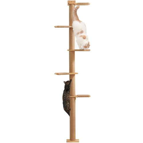Arbres chat 205 5 - à,