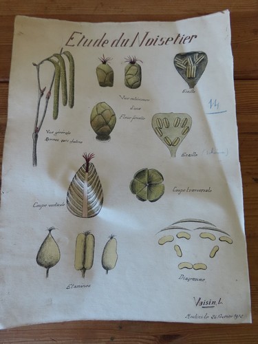 Feuille ancienne etude - etude, du