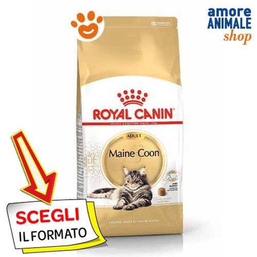 Royal canin fbn - canin, maine