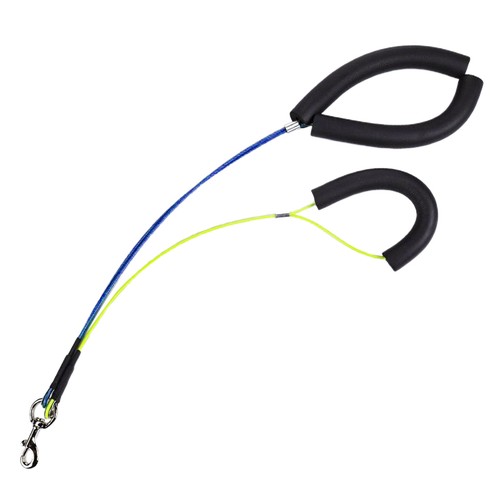Ceinture ventrale - , de