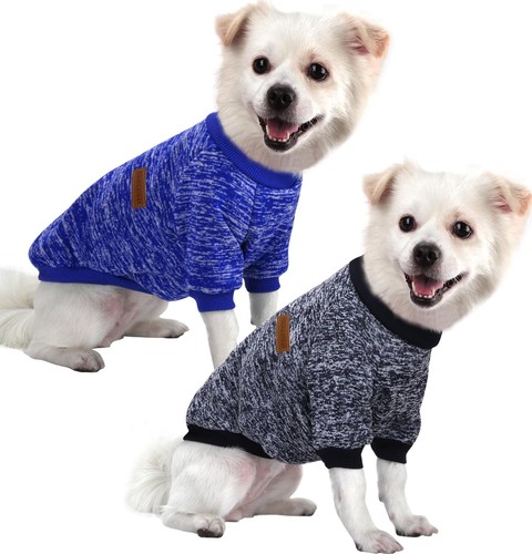Pull chien petite taille - petite,